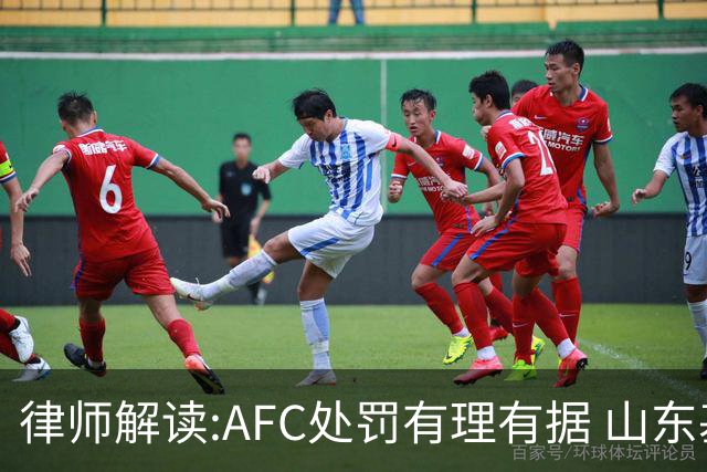 律师解读:AFC处罚有理有据 山东基本确定无缘亚冠