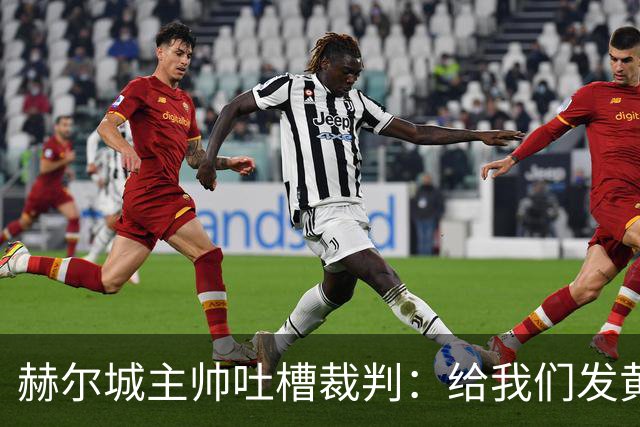 赫尔城主帅吐槽裁判：给我们发黄牌就像给小狗穿上教练服！